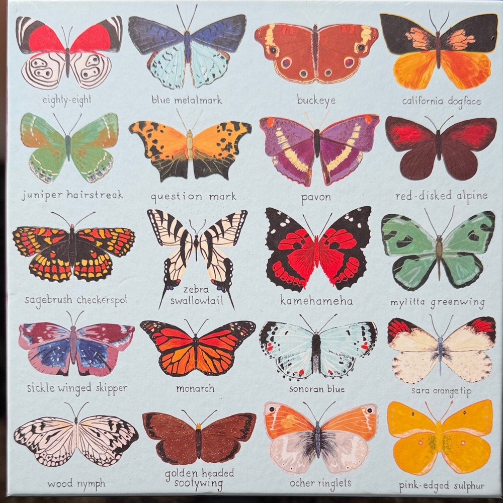 Butterfly Illustration Puzzle - Multicolor
